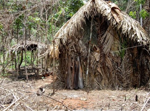 dpu-afirma-que-consulta-previa-nao-se-aplica-a-indigenas-isolados