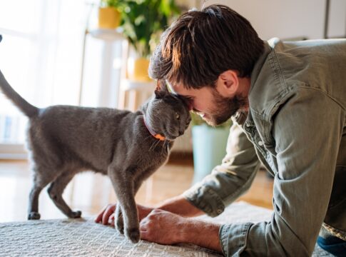 entenda-porque-gatos-miam-mais-para-os-homens