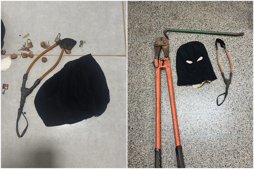 malandros-e-trambiqueiros-(por -gustavo-krause)