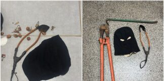 malandros-e-trambiqueiros-(por -gustavo-krause)