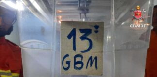 cobra-coral-e-capturada-dentro-de-casa-no-df-e-devolvida-a-natureza