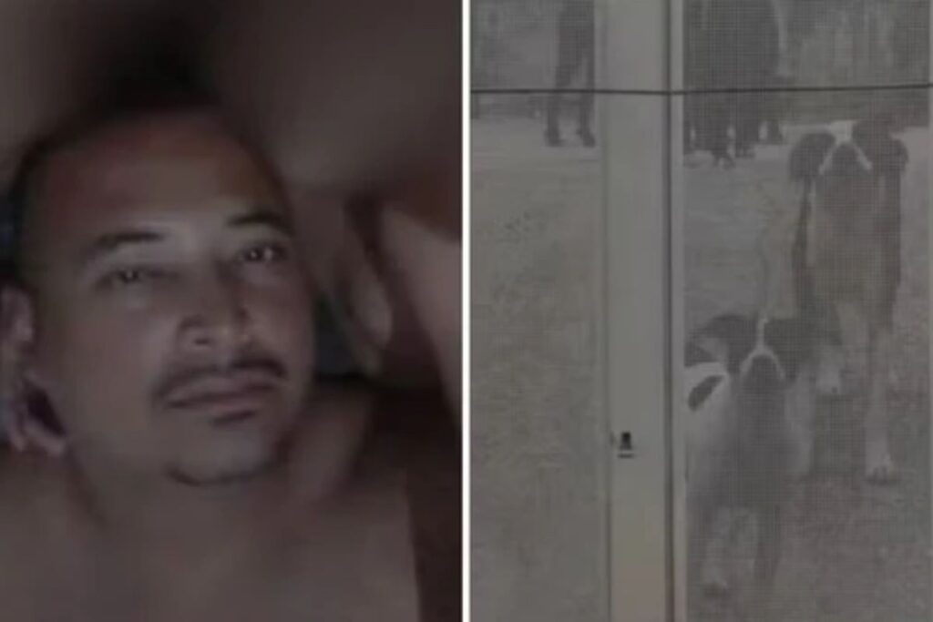 ambulante-morre-apos-ser-atacado-por-10-caes-dentro-de-chacara