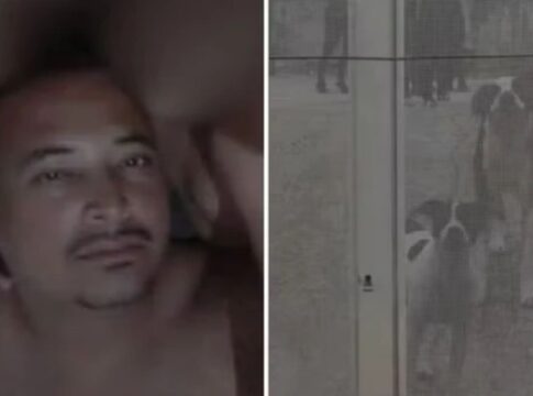 ambulante-morre-apos-ser-atacado-por-10-caes-dentro-de-chacara