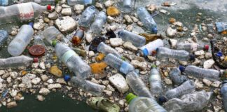 decreto-do-plastico:-metas-ambiciosas-exigem-investimentos