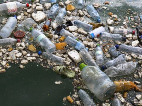 decreto-do-plastico:-metas-ambiciosas-exigem-investimentos