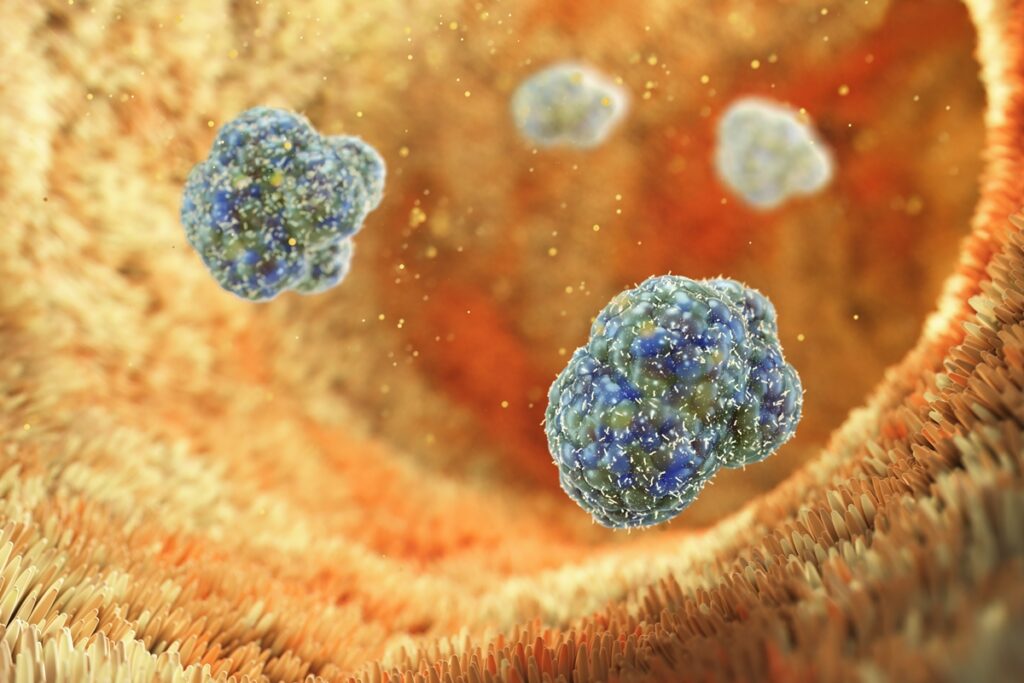 molecula-do-intestino-pode-ajudar-no-controle-da-diabetes,-diz-estudo