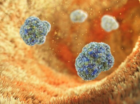 molecula-do-intestino-pode-ajudar-no-controle-da-diabetes,-diz-estudo