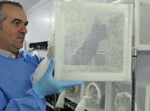 brasileiro-criador-do-“aedes”-que-bloqueia-dengue-e-eleito-pela-nature