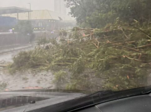 tempestade-derruba-arvore-e-interdita-avenida-na-grande-sao-paulo