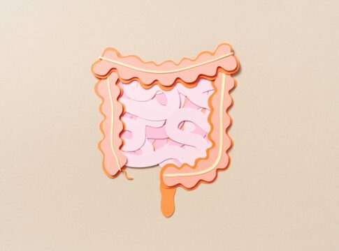 entenda-como-os-habitos-modernos-prejudicam-a-saude-do-seu-intestino