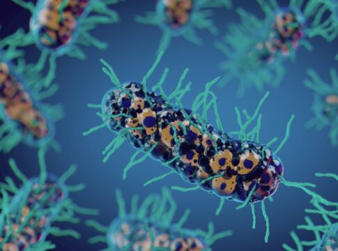 por-que-o-aumento-da-resistencia-antimicrobiana-e-tao-preocupante