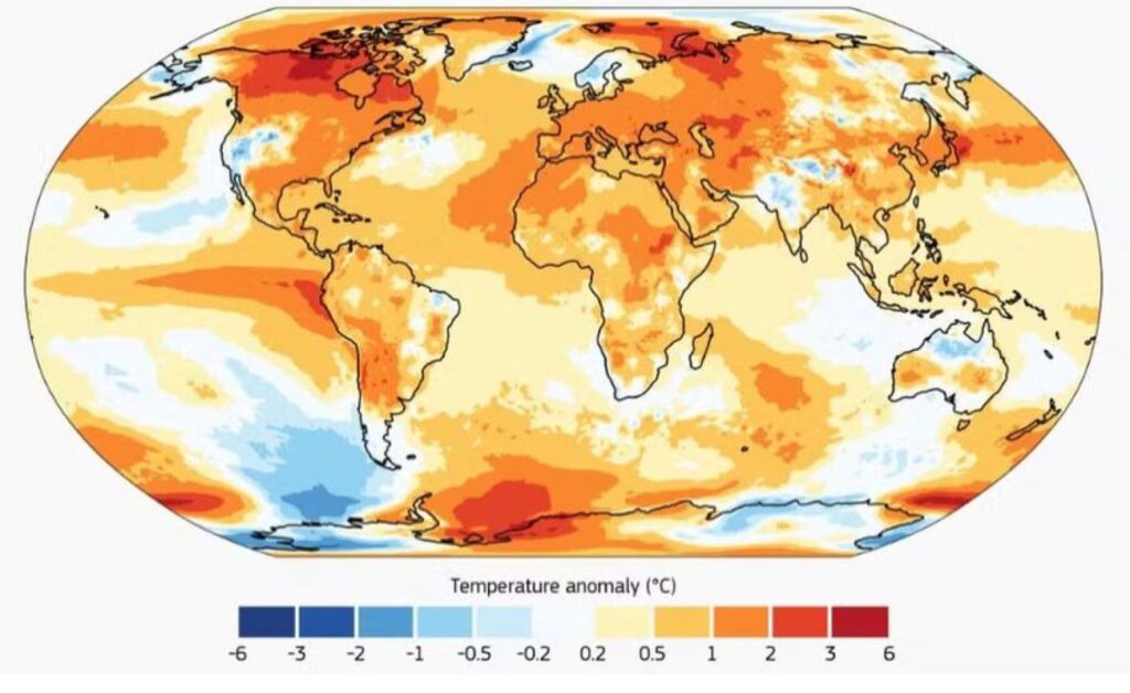 o-manifesto-visual-da-crise-climatica-(por-mariana-caminha)