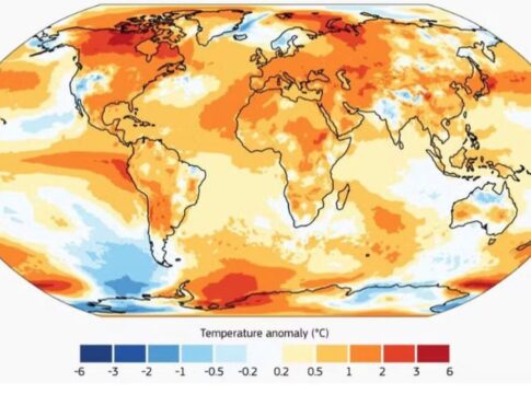 o-manifesto-visual-da-crise-climatica-(por-mariana-caminha)