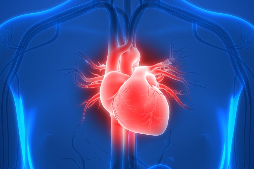 cardiologista-aponta-qual-e-a-pior-bebida-para-a-saude-do-coracao