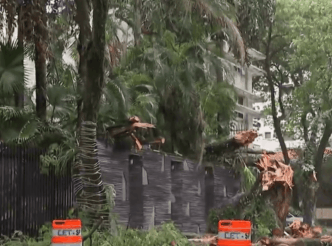 chuva-e-rajadas-de-vento-ja-derrubaram-pelo-menos-49-arvores-nesta-3°