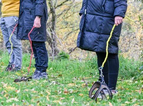 entenda-o-hobby-dogging:-pratica-de-passear-com-caes-invisiveis