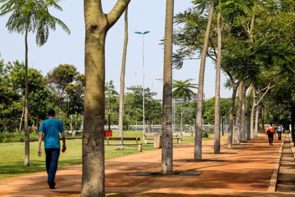 ventania-em-sp-leva-ao-fechamento-de-12-parques-urbanos.-veja-quais