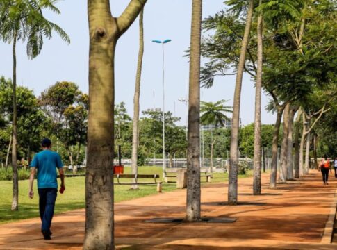 ventania-em-sp-leva-ao-fechamento-de-12-parques-urbanos.-veja-quais