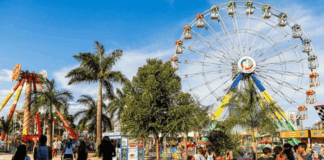 nicolandia-tera-entrada-gratuita-neste-sabado-para-quem-doar-brinquedo