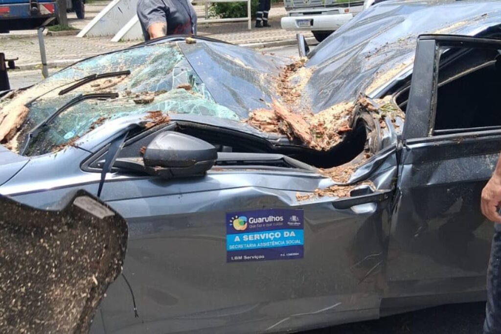 ventania:-em-24h,-ciclone-extratropical-deixa-cenario-de-caos-em-sp