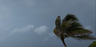 sao-paulo-e-capitais-do-sul-terao-ventos-moderados-nesta-quinta-feira