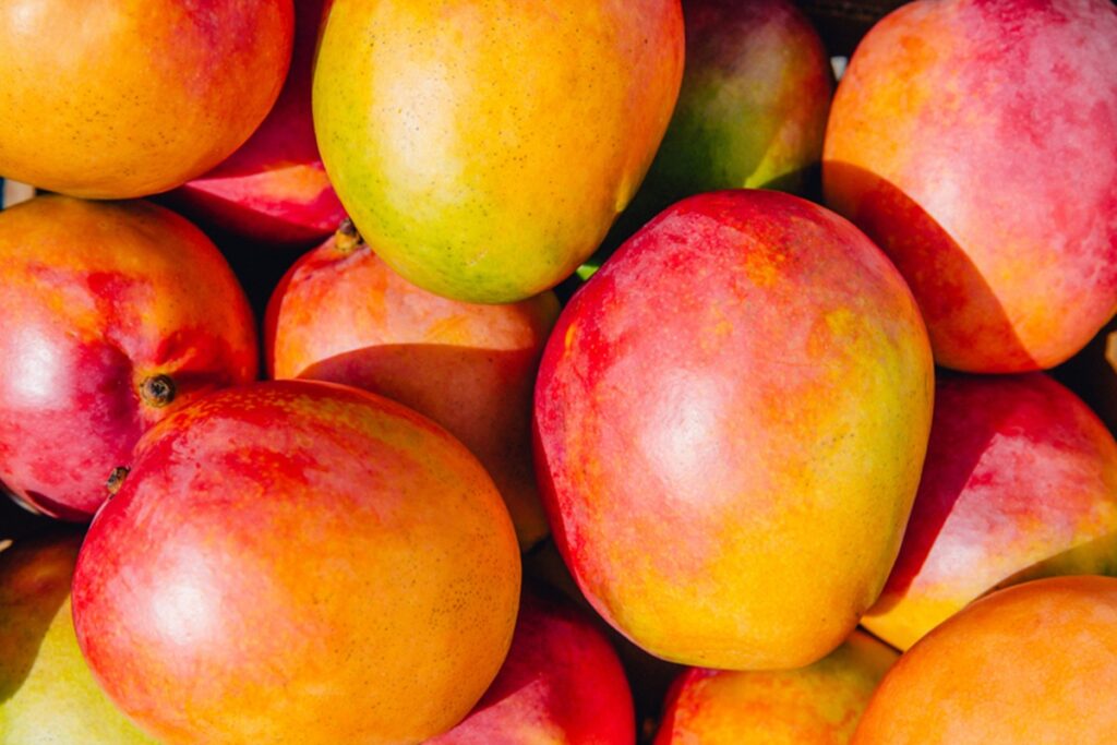 bebado-sobe-em-arvore-para-pegar-manga-e-cai-de-4-metros