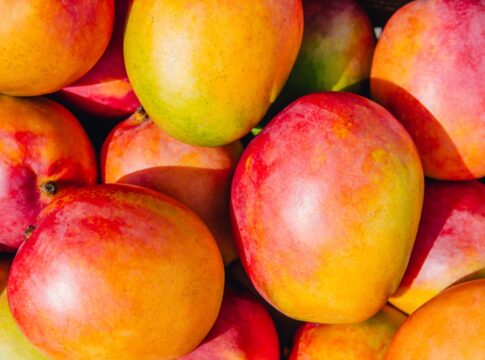 bebado-sobe-em-arvore-para-pegar-manga-e-cai-de-4-metros