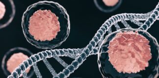 64%-dos-pacientes-tem-remissao-de-leucemia-grave-com-terapia-genetica