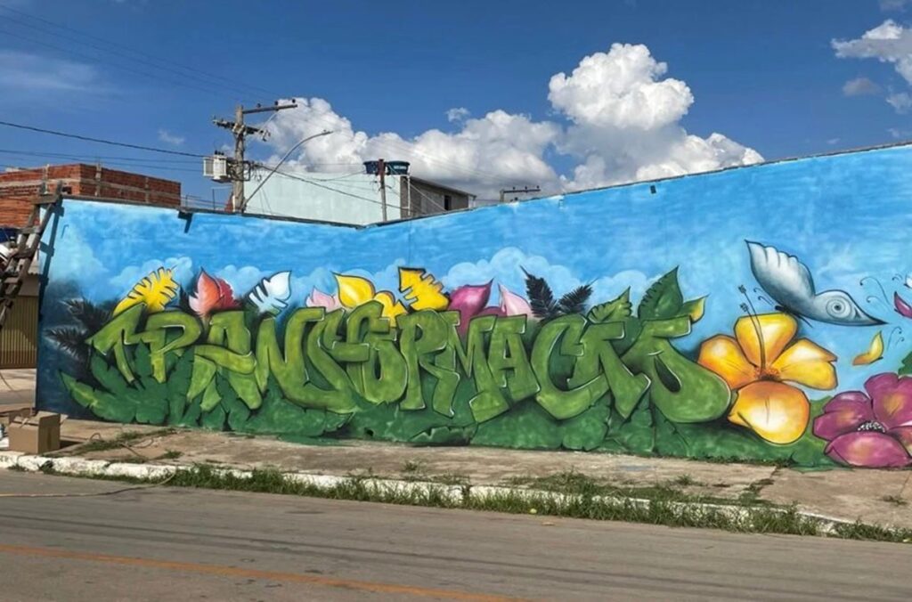 PCDF e grafiteiros se unem para revitalizar muros pichados pelo PCC pcdf-e-grafiteiros-se-unem-para-revitalizar-muros-pichados-pelo-pcc