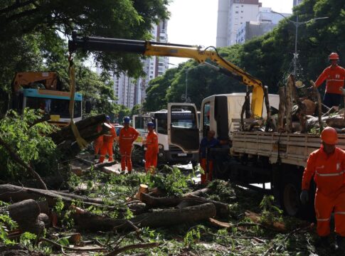 dois-dias-apos-ciclone,-sp-ainda-tem-800-mil-moradores-sem-energia