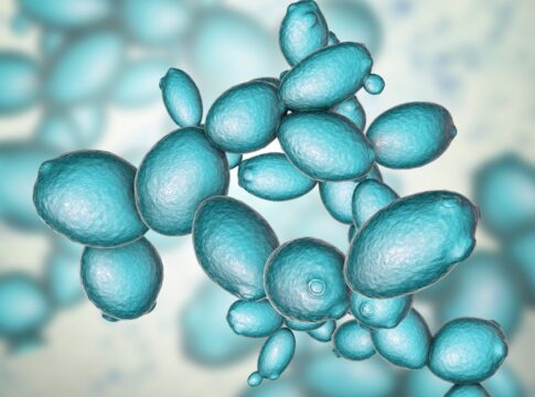 avanco-na-genetica:-cientistas-produzem-genoma-sintetico-inedito