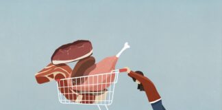 como-saber-quanto-de-proteina-e-suficiente-para-o-seu-corpo