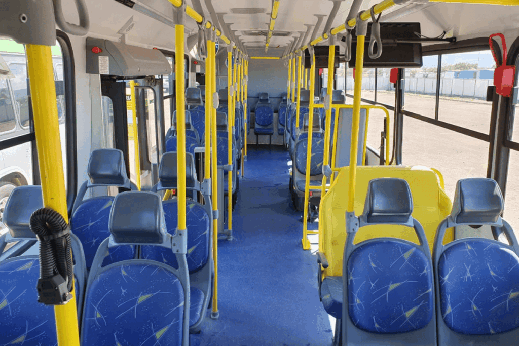 mulher-bebada-e-presa-apos-agredir-filho-de-3-anos-em-onibus-no-df