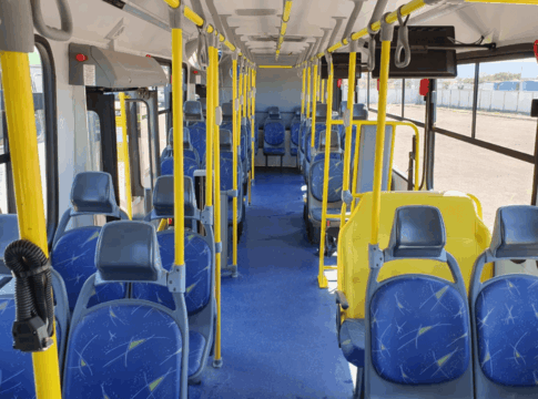 mulher-bebada-e-presa-apos-agredir-filho-de-3-anos-em-onibus-no-df