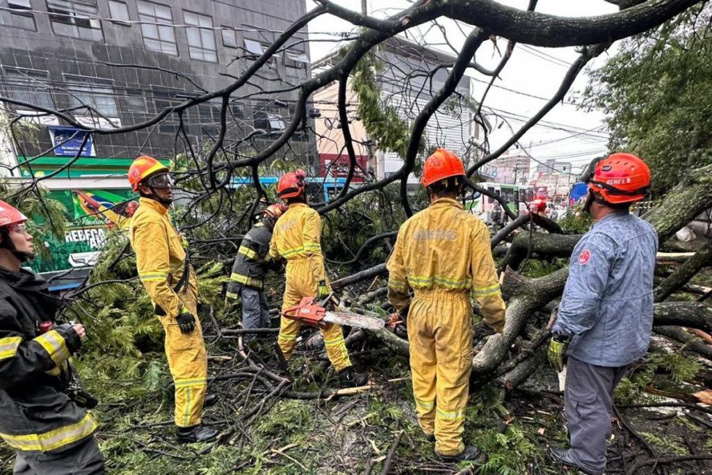 Mulher morre em ponto de ônibus ao ser atingida por queda de árvore mulher-morre-em-ponto-de-onibus-ao-ser-atingida-por-queda-de-arvore