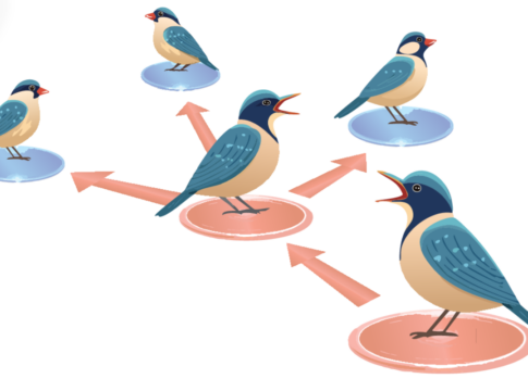 passarinho-mentiroso:-estudo-diz-que-animais-espalham-fake-news