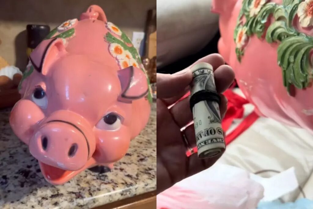 mulher-compra-cofrinho-em-brecho-e-encontra-r$-10-mil-guardados-dentro