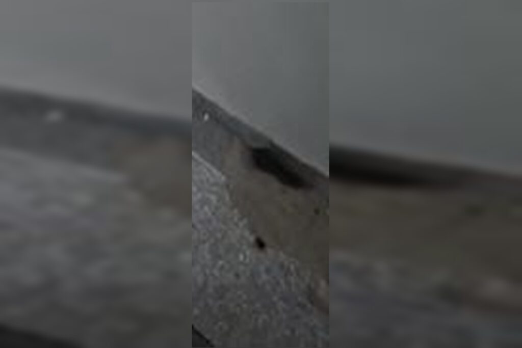 ratos-invadem-centro-cirurgico-do-hospital-universitario-de-brasilia