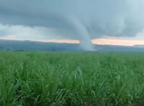 tornado-no-brasil?-entenda-o-fenomeno-que-destruiu-ate-tumulos-em-sp
