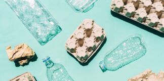 saiba-o-que-e-um-material-biodegradavel-e-por-que-nem-tudo-se-decompoe