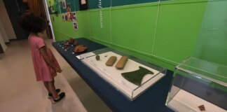 exposicao-mostra-achados-arqueologicos-sobre-origens-da-cidade-de-sp