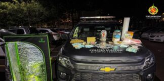 traficante-e-preso-com-estufa-portatil-para-cultivo-de-maconha-no-df
