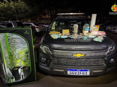 traficante-e-preso-com-estufa-portatil-para-cultivo-de-maconha-no-df
