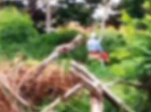 “metendo-a-vara”:-idosos-sao-flagrados-fazendo-sexo-em-area-publica