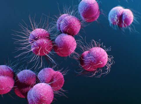 preocupacao-com-gonorreia-resistente-cresce-e-novos-remedios-avancam