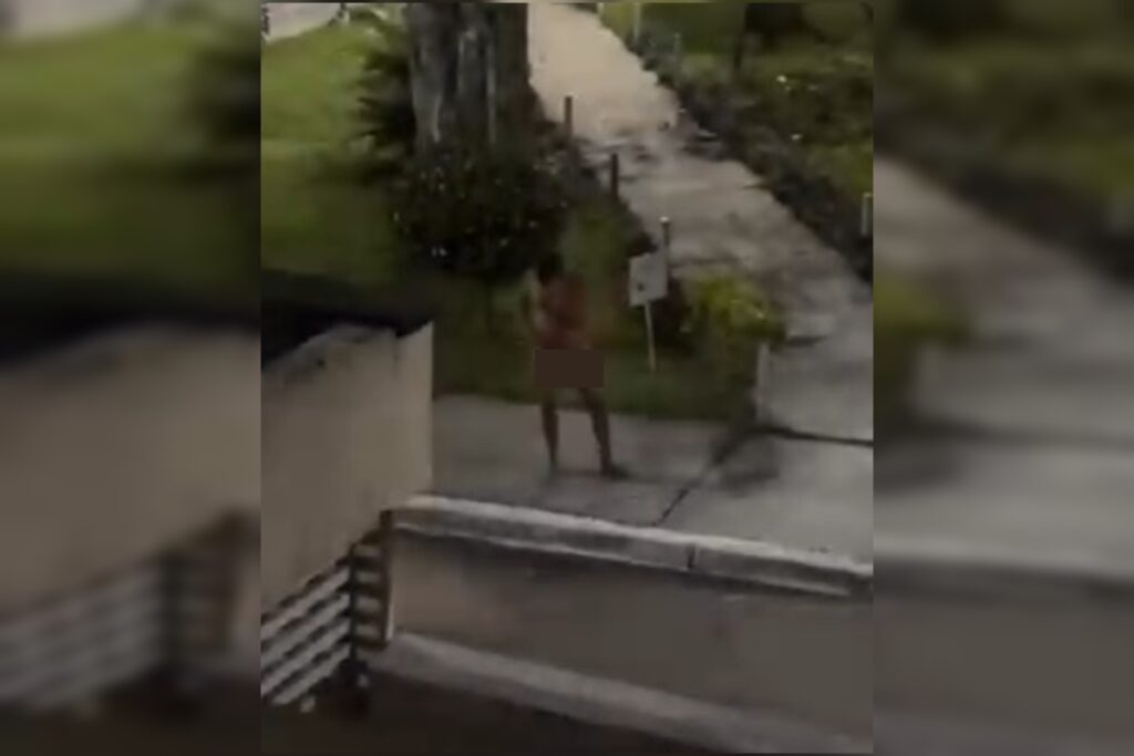 “peladao-misterioso”-e-visto-novamente-usando-apenas-balaclava-no-df