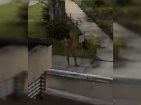 “peladao-misterioso”-e-visto-novamente-usando-apenas-balaclava-no-df