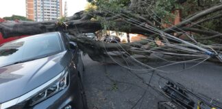 cinco-dias-apos-ciclone,-30-mil-clientes-estao-sem-energia-em-sp