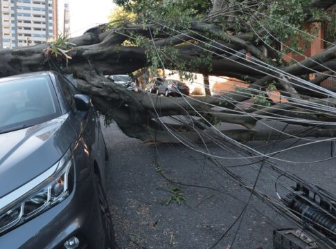 cinco-dias-apos-ciclone,-30-mil-clientes-estao-sem-energia-em-sp