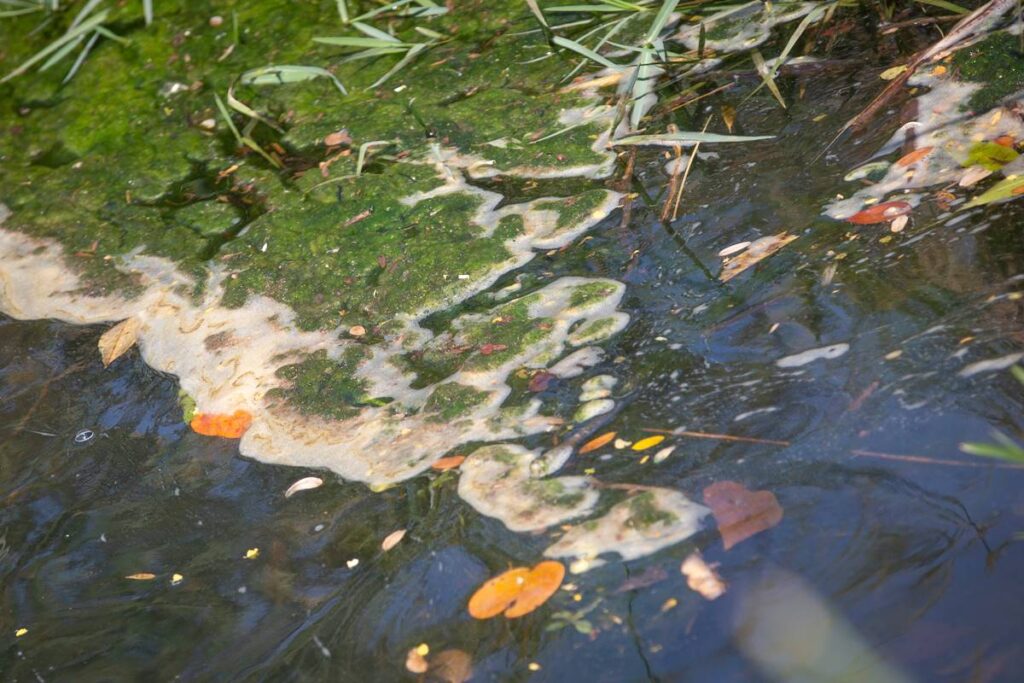 cpi-do-melquior:-relatorio-final-pede-reenquadramento-do-rio